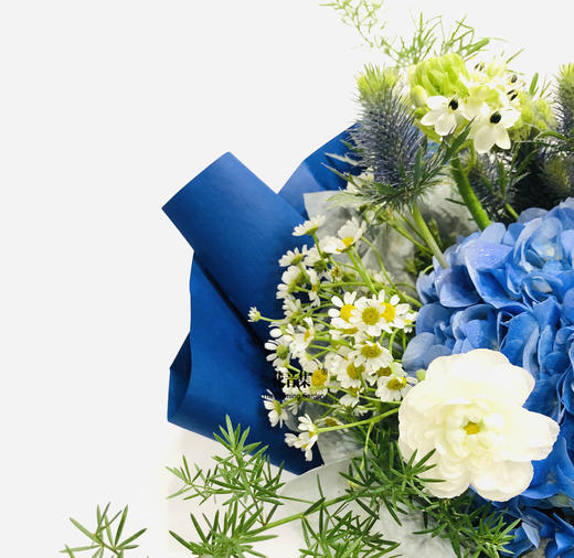 蓝盆友 商品图1