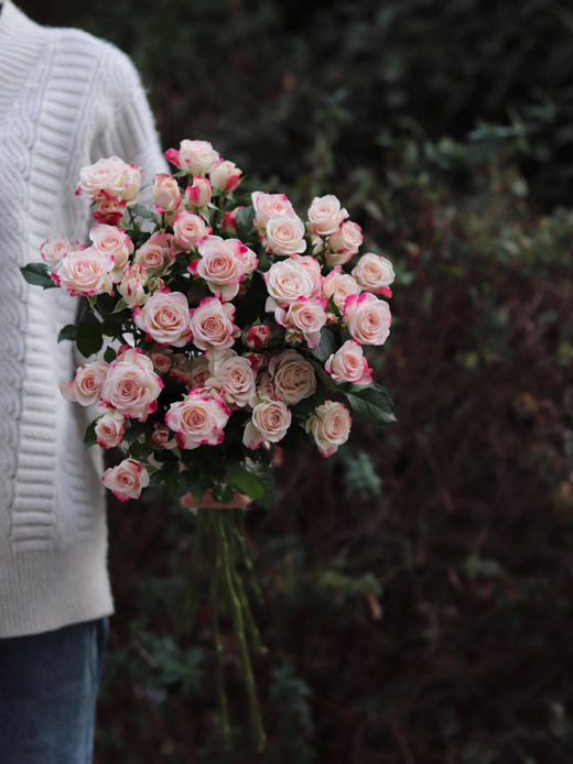 多头玫瑰折射【少女的眼，应该满怀清明大意和温柔阳光】简小姐精选 新品温柔渐变粉色多头玫瑰 折射9+1枝（防花损） 2束包邮 下单72小时发货 商品图3