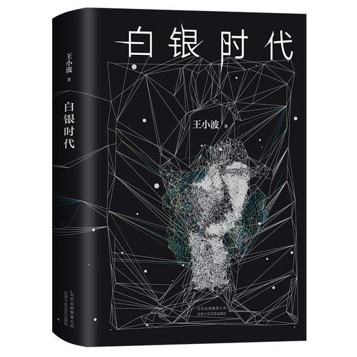 王小波：白银时代 商品图1