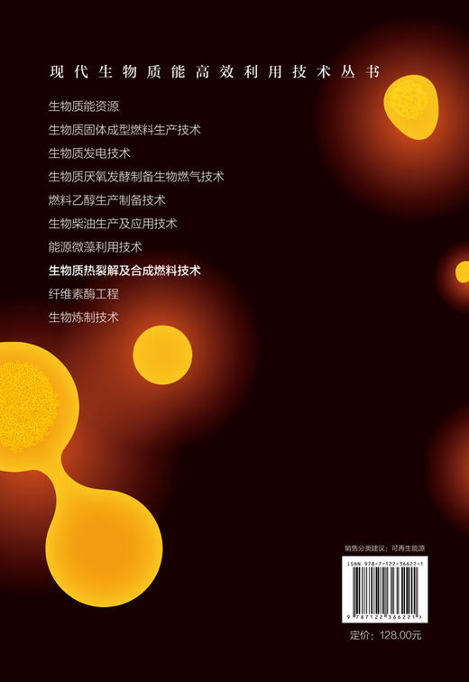现代生物质能高效利用技术丛书 生物质热裂解及合成燃料技术 商品图1