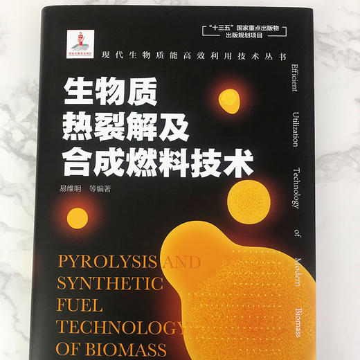 现代生物质能高效利用技术丛书 生物质固体成型燃料生产技术 商品图2