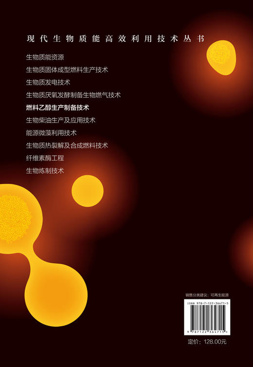 现代生物质能高效利用技术丛书 燃料乙醇生产制备技术 商品图1