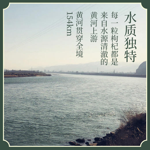 【新货】靖远枸杞 阴阳双补每日保健常备 纯净不熏硫  道地品种 280g/罐*2 商品图1