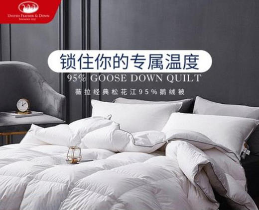 UFD纯棉羽绒被95白鹅绒冬被加厚双人鹅绒被酒店定制冬季被子被芯 商品图1