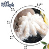 【野生】超低温 八爪鱼 章鱼（活冻去冰）400g/盒 商品缩略图5