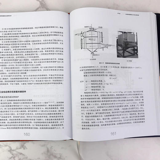 现代生物质能高效利用技术丛书 生物质固体成型燃料生产技术 商品图3