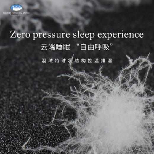 UFD纯棉羽绒被95白鹅绒冬被加厚双人鹅绒被酒店定制冬季被子被芯 商品图2