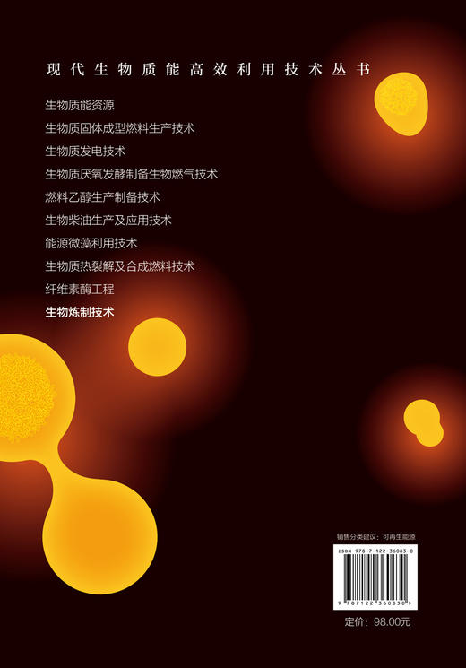 现代生物质能高效利用技术丛书 生物炼制技术 商品图1