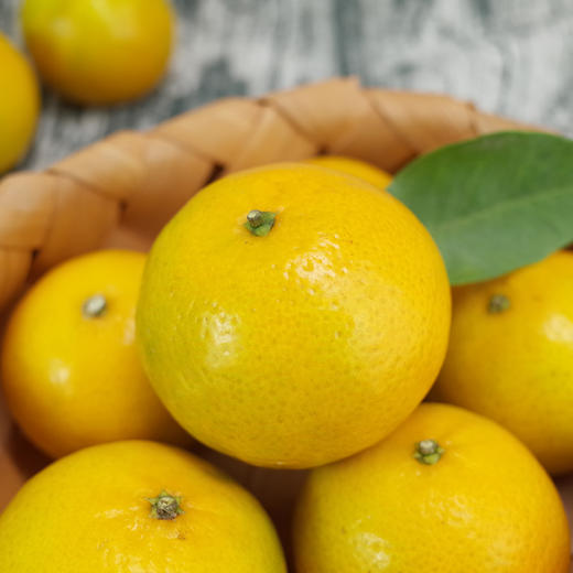 【武皇都爱】皇帝柑 御品贡品 爽脆化渣丹霞山脚下 长在树上的“爆汁橙” 商品图4