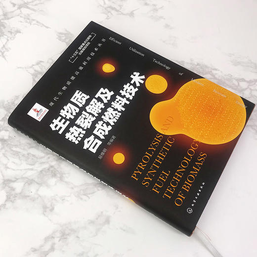 现代生物质能高效利用技术丛书 生物质固体成型燃料生产技术 商品图4