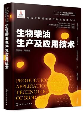 现代生物质能高效利用技术丛书 生物柴油生产及应用技术