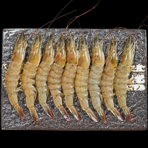 生鲜冷冻双谊生冻基围虾200g4袋