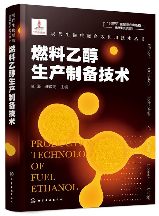 现代生物质能高效利用技术丛书 燃料乙醇生产制备技术 商品图0