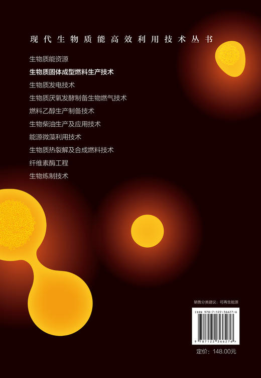 现代生物质能高效利用技术丛书 生物质固体成型燃料生产技术 商品图1