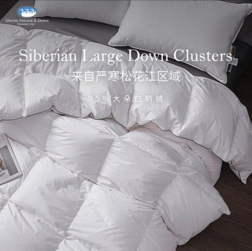UFD纯棉羽绒被95白鹅绒冬被加厚双人鹅绒被酒店定制冬季被子被芯 商品图4