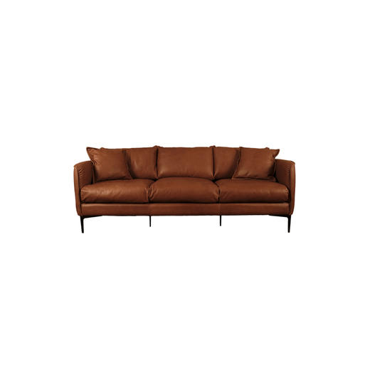 懂窝 | 姆特温尼 真皮沙发 Mtsweni Leather Sofa 商品图2