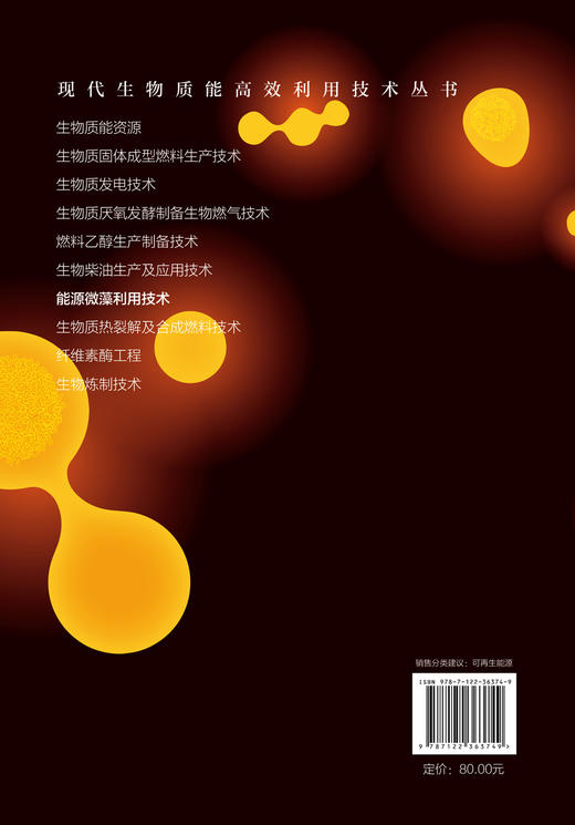 现代生物质能高效利用技术丛书 能源微藻利用技术 商品图1