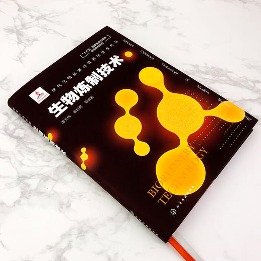 现代生物质能高效利用技术丛书 生物炼制技术 商品图2