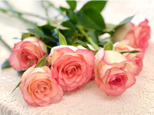 艾莎玫瑰【你生来就值得被爱，这点你无须质疑】简小姐精选 新品超稀有温柔粉色A级玫瑰 艾莎 9+1枝（防花损）2束包邮 下单48小时发货 商品图8