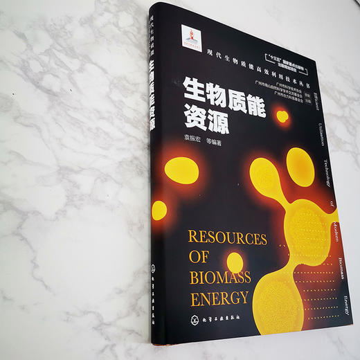 现代生物质能高效利用技术丛书 生物质能资源 商品图2