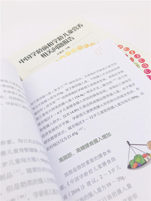 中国学龄前和学龄儿童营养相关问题报告 许雅君 改善儿童青少年营养健康状况干预措施和政策书 营养不良膳食结构失衡饮食行为问题 商品图2