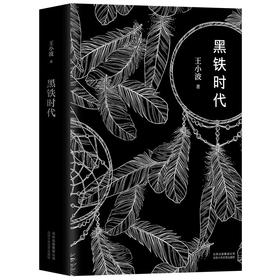 王小波：黑铁时代