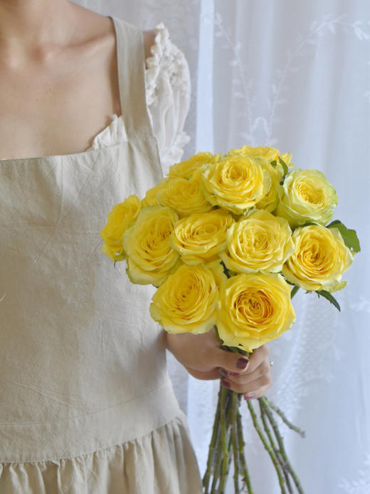 月球漫步玫瑰【我们私奔到月球，让双脚去腾空让我们去感受】简小姐精选 新品A级明媚明黄色奥斯汀玫瑰  月球漫步 9+1枝（防花损）2束包邮 下单48小时发货 商品图4