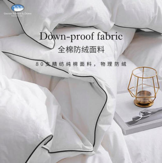 UFD纯棉羽绒被95白鹅绒冬被加厚双人鹅绒被酒店定制冬季被子被芯 商品图3
