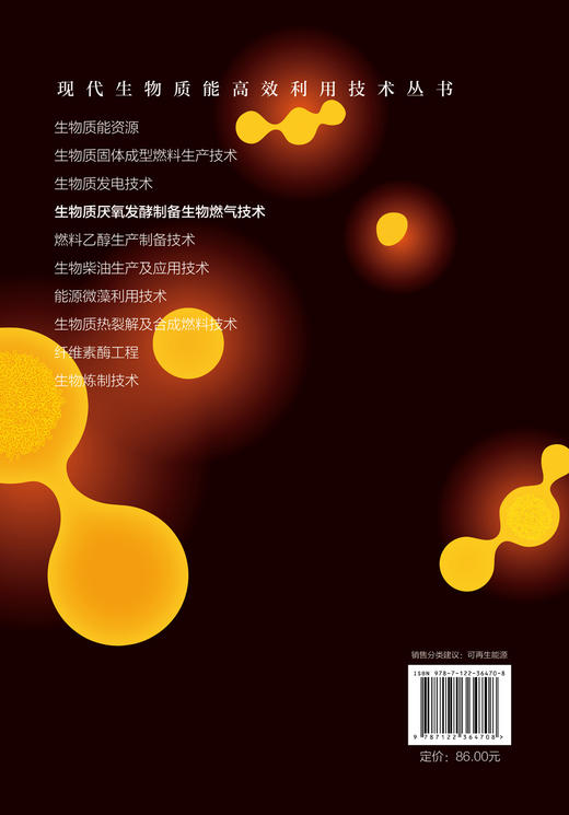 现代生物质能高效利用技术丛书 生物质厌氧发酵制备生物燃气技术 商品图1