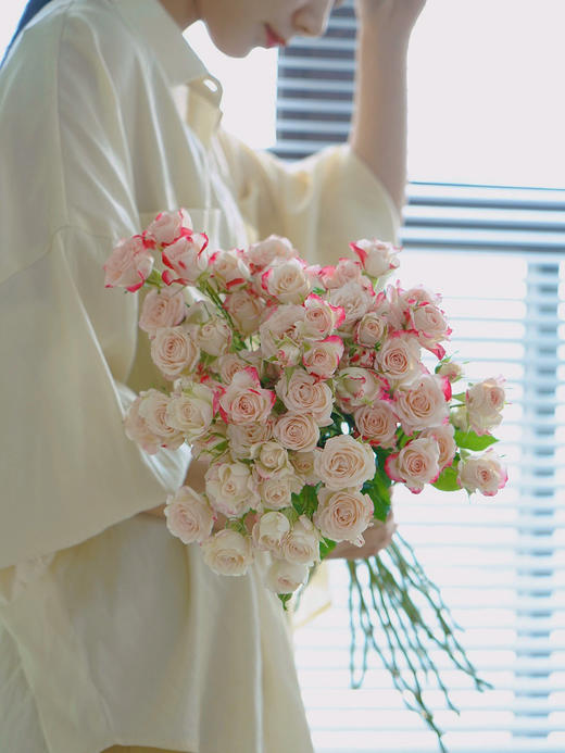 多头玫瑰折射【少女的眼，应该满怀清明大意和温柔阳光】简小姐精选 新品温柔渐变粉色多头玫瑰 折射9+1枝（防花损） 2束包邮 下单72小时发货 商品图0