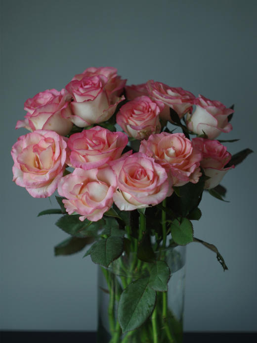 艾莎玫瑰【你生来就值得被爱，这点你无须质疑】简小姐精选 新品超稀有温柔粉色A级玫瑰 艾莎 9+1枝（防花损）2束包邮 下单48小时发货 商品图7