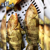 【野生】超低温  海钓活冻石斑鱼 300~500g/条 商品缩略图2