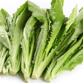爱农  北京有机蔬菜  油麦菜450g