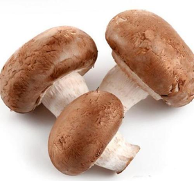 爱农  北京有机蔬菜  香菇400g