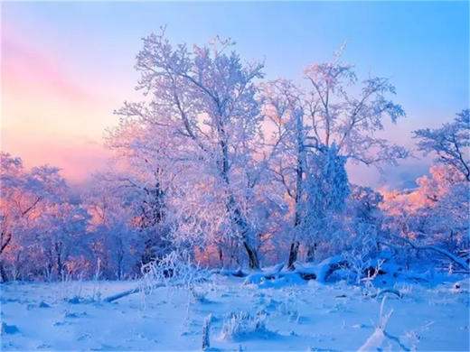 【雪乡雾凇岛3日】雾凇岛-雪乡-雪谷-林海雪原穿越｜可衔接漠河/哈尔滨 商品图3