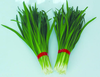 爱农  北京有机蔬菜  韭菜450g 商品缩略图0
