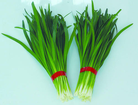 爱农  北京有机蔬菜  韭菜450g