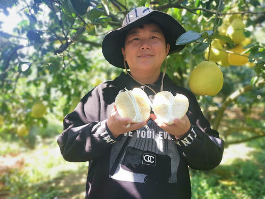 【劲爆开团】江永香柚，纯甜无酸，清脆爽口，水分好！产地直采整车到店 商品图4