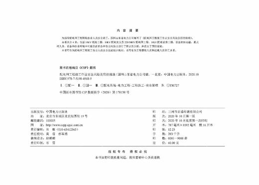 配电网工程施工作业安全风险及预控措施 商品图3