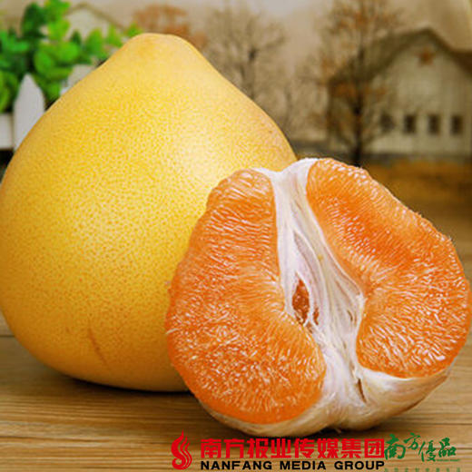 【珠三角包邮】启航 梅州黄金蜜柚 2.5斤-3.5斤/个 2个/份（次日到货） 商品图0