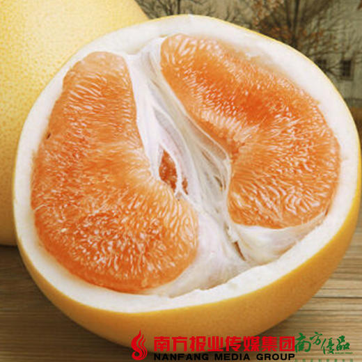 【珠三角包邮】启航 梅州黄金蜜柚 2.5斤-3.5斤/个 2个/份（次日到货） 商品图3