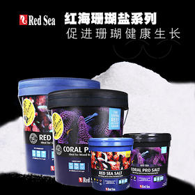 红海海盐 珊瑚盐
