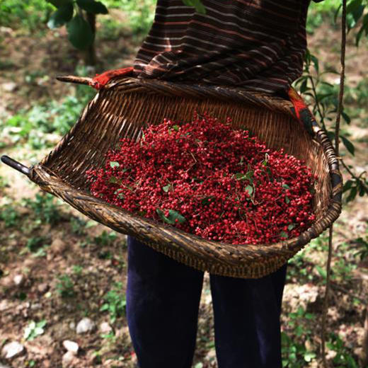 百里的花椒 自然晾晒 没有任何防腐之类 开口无籽 天然麻香 |百里食 商品图10
