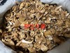 长白山野生蘑菇 商品缩略图2