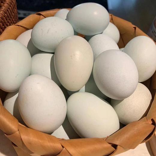 绿壳鸡蛋 无激素抗生素 用纯粮和桑叶喂养 无腥味 超好吃  |百里食 商品图9