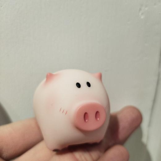 piggy/猪仔-袁贝贝 商品图0