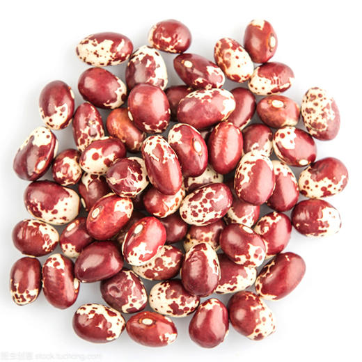 有机花豆 商品图3