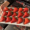 现摘，下单后2-3天到货【丹东东港倾城红颜草莓】约重1.8-2斤，2盒装，来自丹东东港椅圈镇核心产品 商品缩略图6