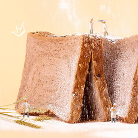 粗粮全麦吐司面包 350g/盒 10包 坚果全麦吐司 营养早餐搭配 佬食仁 包邮