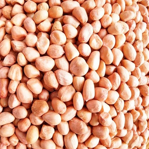 有机花生 商品图1